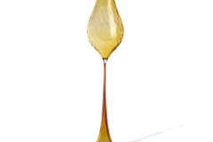 tulip1a